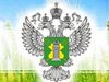 О задержании в г.Краснодаре 20 тонн семян кукурузы зараженных вилтом